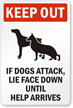 Keep Out Dogs Attack Sign