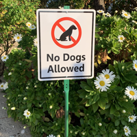 No Dogs Allowed Sign - No Pet Animals