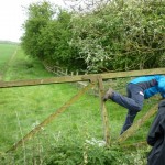 Landowner liability for trespasser injuries is under review