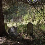 When cemeteries become private property