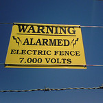 St. Petersburg, Florida may allow electric fences