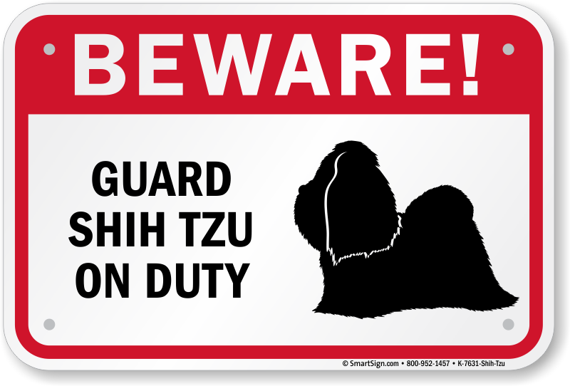 shih tzu guard dog