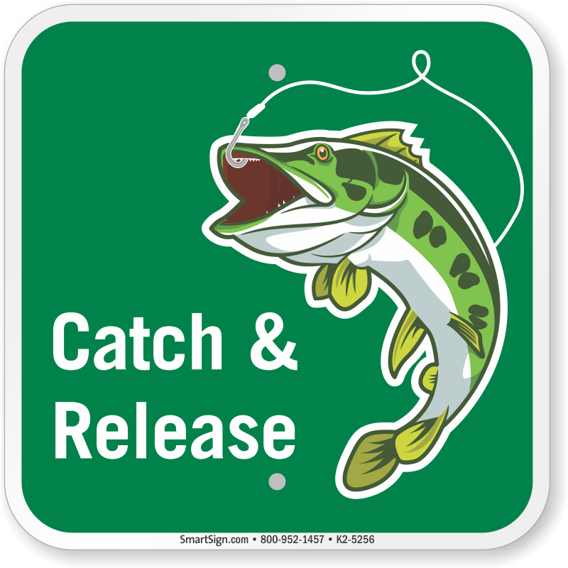 18x12 in Catch and Release Fishing Only Sign 80 mil Aluminum Reflective