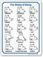The States Of Being Cat Mood Sign